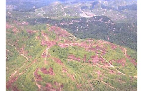 Mersing Zoning Residential Land For Sale  (RM 3 psf)