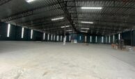 dc172262-01e8-475b-aed6-97745051d076