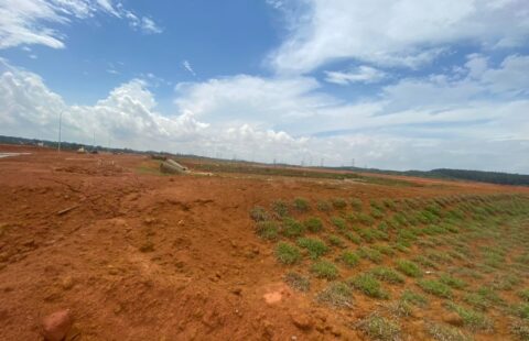 Senai 20 Acres Industry Land For Sale (RM 55 psf)