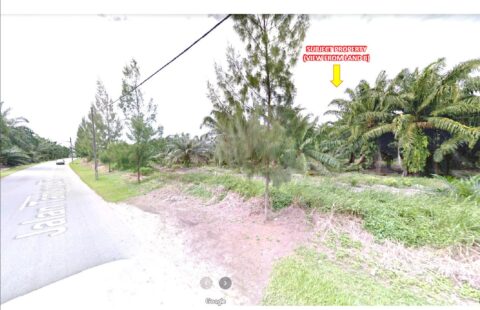 Tanjung Bin 14.7 Acres Agriculture Land For Sale ( RM 17 psf)